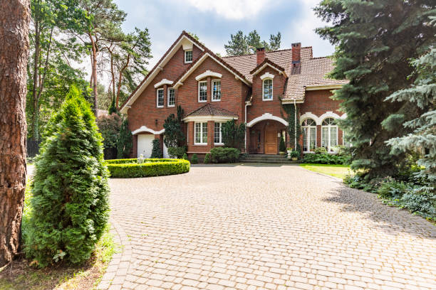 Best Decorative Driveway Pavers  in Lake Elmo, MN